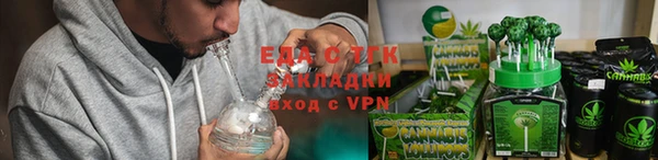 индика Солнечногорск