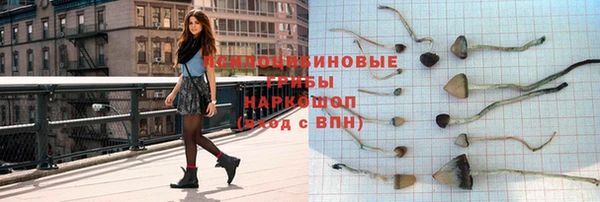 Альфа ПВП Нефтегорск