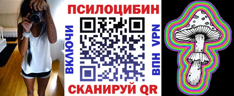 купить закладку Уржум Галлюциногенные грибы Psilocybine cubensis